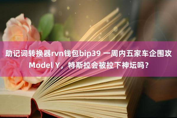 助记词转换器rvn钱包bip39 一周内五家车企围攻Model Y，特斯拉会被拉下神坛吗？