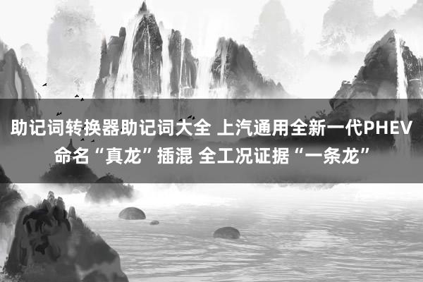 助记词转换器助记词大全 上汽通用全新一代PHEV命名“真龙”插混 全工况证据“一条龙”